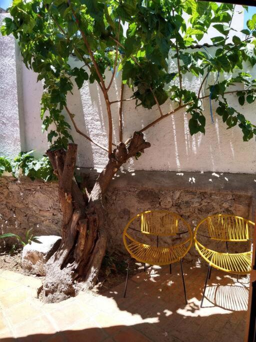 شقة Original Y Comodo Loft En El Centro De تولانسينغو المظهر الخارجي الصورة